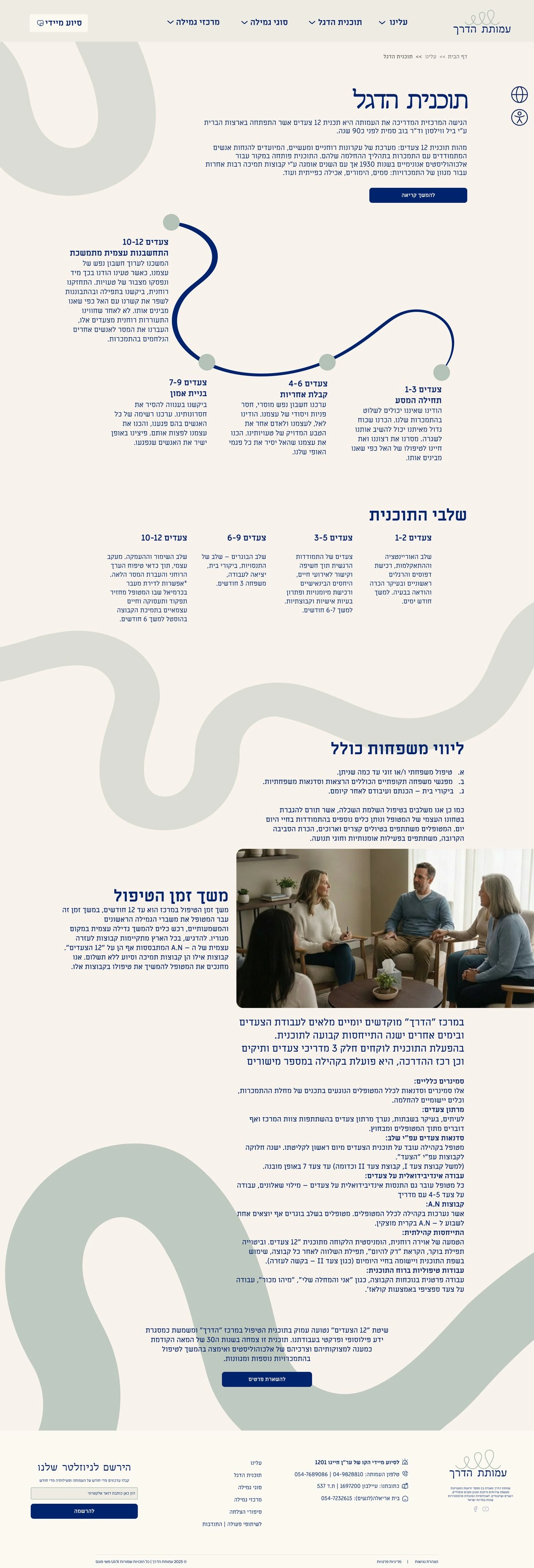 תוכנית הדגל