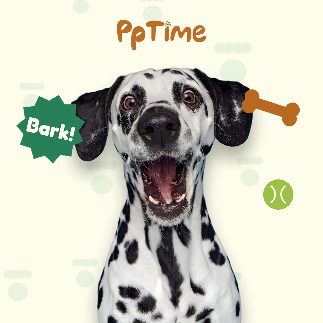 PpTime trust post, peace of mind on every walk
